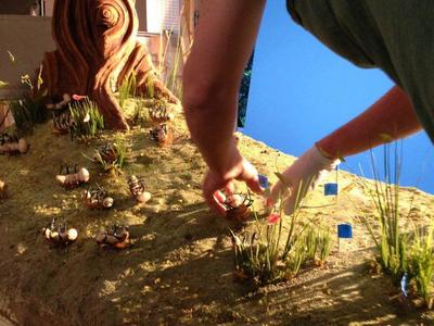 This is a BTS shot of the puppet animated short film, Cicada Princess, created and shot in house, featuring a meadow and tree set with dead cicada puppets;  directed by Mauricio Baiocchi. http://vimeo.com/84058031	